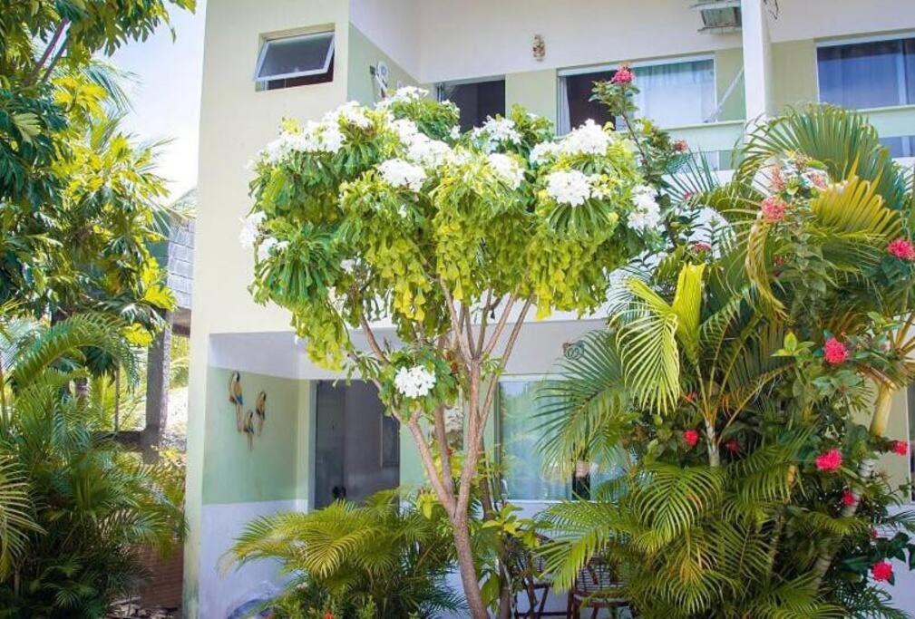 Casa Em Na De Guarajuba/ba